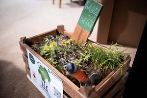 6_planet_expo_2026-2