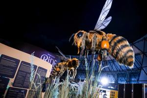 8_planet_expo_2026-2